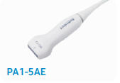 pa15ae